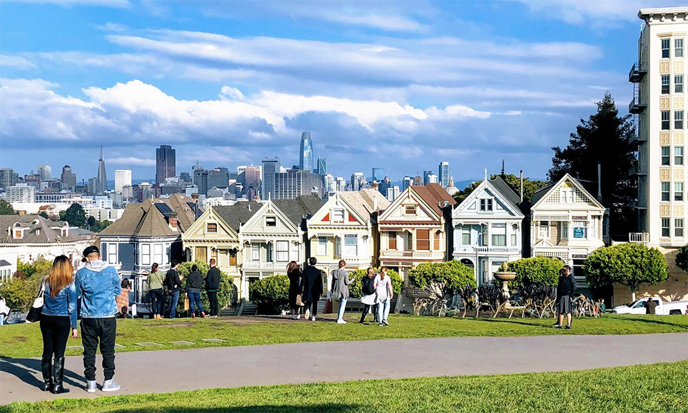 Painted Ladies